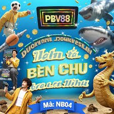 vn668